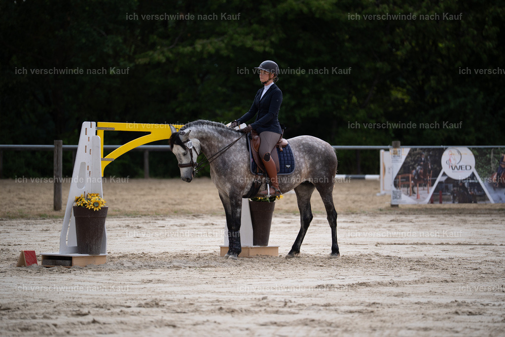 WL_ST_6_stoibphotography__SO10298 | working equitationturnier fotograf videograf stoibphotography marixx film working equitation deutschland reitsport turnierfotografie eventfotografie equestrian events