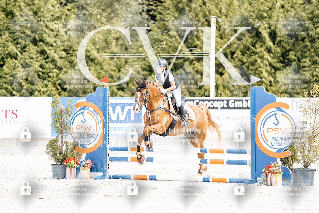 CK906301 | Turnierfotografie Pferdefotografie Trier Rheinland-Pfalz Pferdesport Reitsport Tierfotografie Sportfotografie Pferdevideo Pferdevideografie Equestrianvideography equestrianphotography  - Realisiert mit Pictrs.com