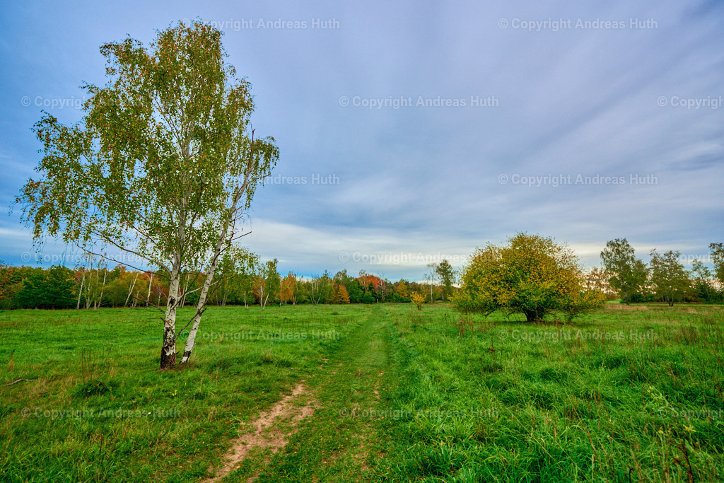 ehem. Truppenübrungsplatz_ jetzt NSG _Am Spitzberg_ 03 | Bedeutsame Landschaften Deutschlands - Realisiert mit Pictrs.com