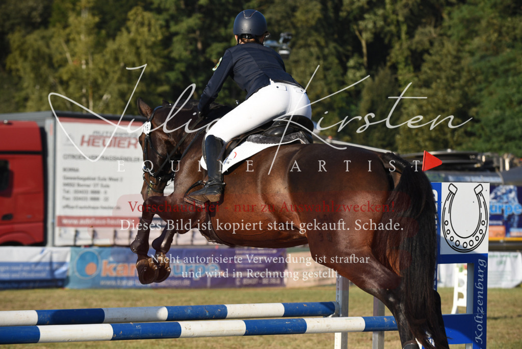 DSC_4878 | Pferde- und Turnierfotografie in Westsachsen. Pferdeportraits, Auftragszeichnungen und intuitive Kunst.