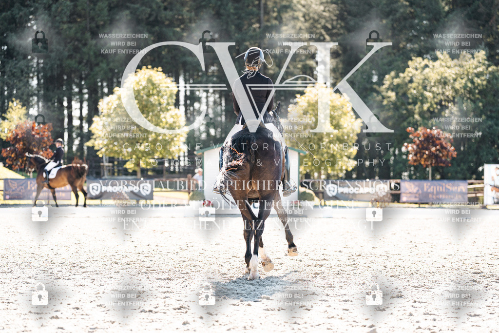 CK905785 | Turnierfotografie Pferdefotografie Trier Rheinland-Pfalz Pferdesport Reitsport Tierfotografie Sportfotografie Pferdevideo Pferdevideografie Equestrianvideography equestrianphotography  - Realisiert mit Pictrs.com