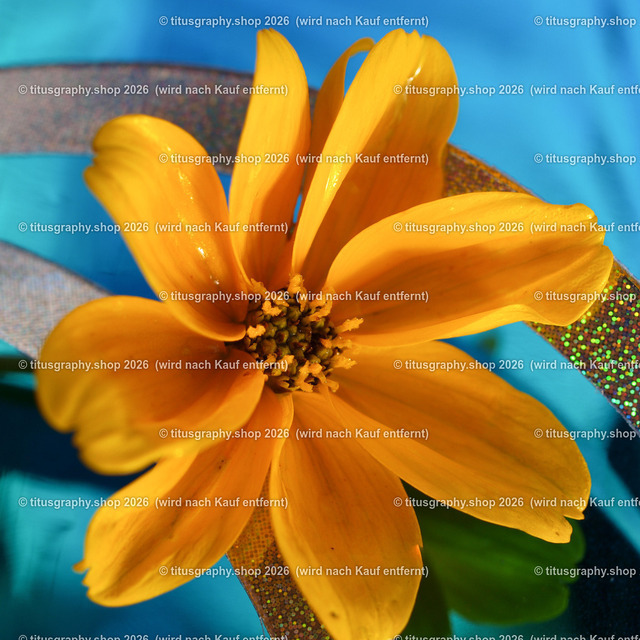 P1018973_edited | Fotokunstarbeit aus der INSTAGRAM-Gallerie auf titusgraphy.eu - Realisiert mit Pictrs.com