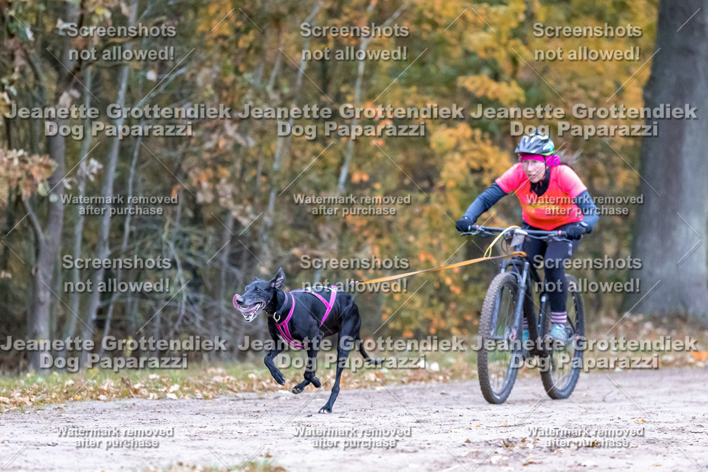 Dog Paparazzi - SD CaniX Championship 2025-60 | Dog Paparazzi Jeanette Grottendiek Fotografie & Videografie - Realisiert mit Pictrs.com