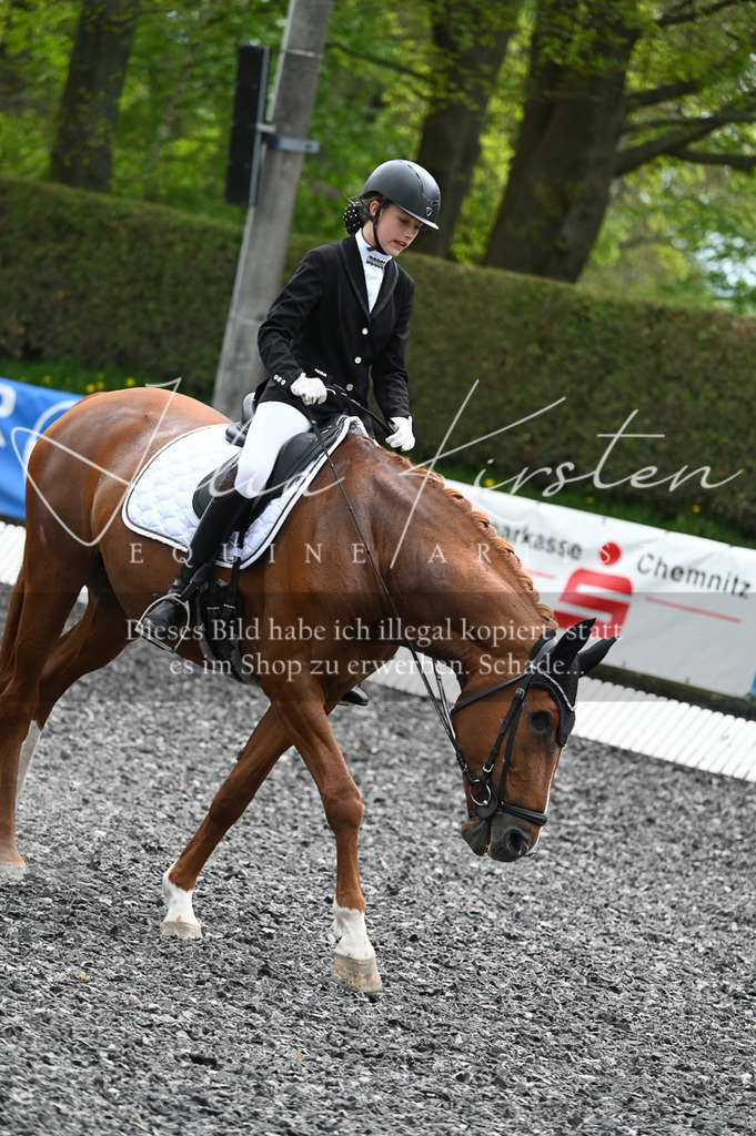 20230512_JK-Röhrsdorf-07-250 | Pferde- und Turnierfotografie in Westsachsen. Pferdeportraits, Auftragszeichnungen und intuitive Kunst.