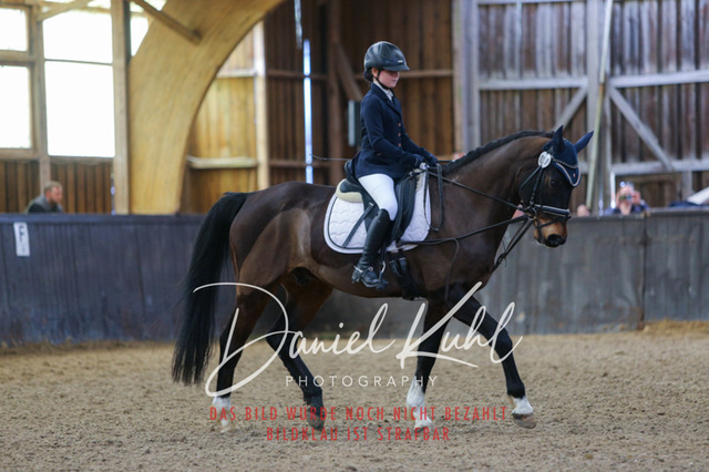 IMG_0848 | Turniersportfotografie; Pferdefotografie; Dressurfotografie