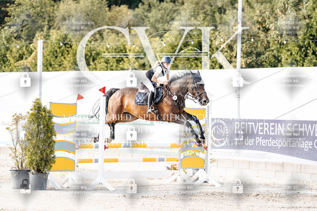 CK906185 | Turnierfotografie Pferdefotografie Trier Rheinland-Pfalz Pferdesport Reitsport Tierfotografie Sportfotografie Pferdevideo Pferdevideografie Equestrianvideography equestrianphotography  - Realisiert mit Pictrs.com