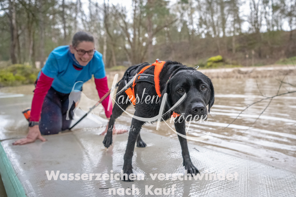 0920_ZZ90590-Bearbeitet | kk-dogfotos