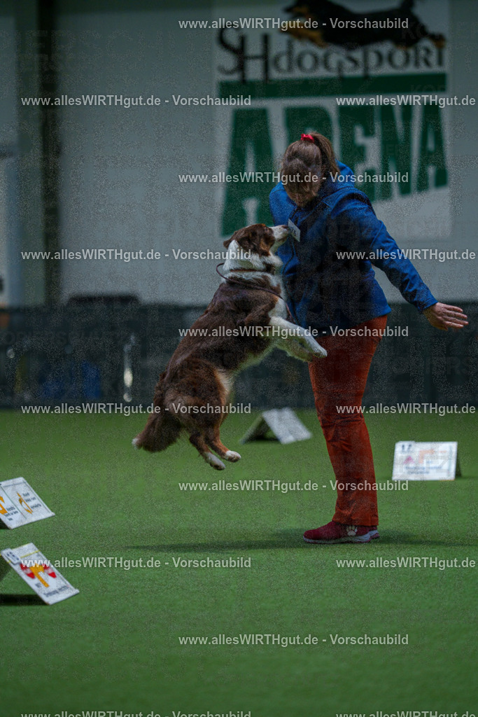 7R502907 | Professionelle Tierfotografie in Mönchengladbach von Daniel Wirth (allesWIRTHgut). Liebevolle & natürliche Bilder von Hunden & Katzen für unvergessliche Erinnerungen.