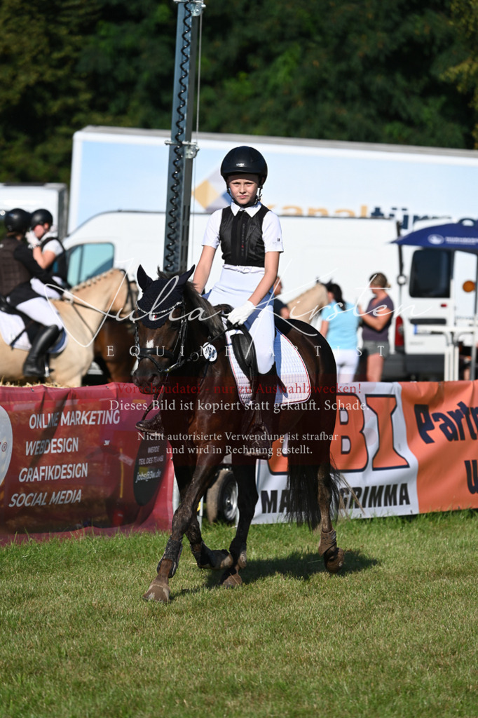 DSC_5004 | Pferde- und Turnierfotografie in Westsachsen. Pferdeportraits, Auftragszeichnungen und intuitive Kunst.