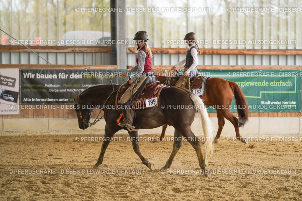 DSC08564 | Pferdegrafie