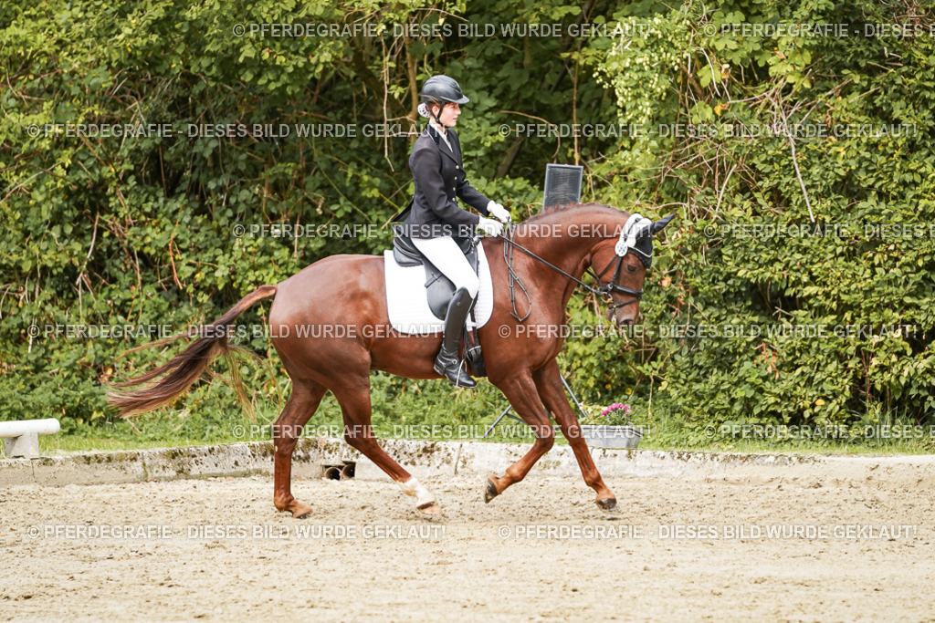 DSC00436 | Pferdegrafie