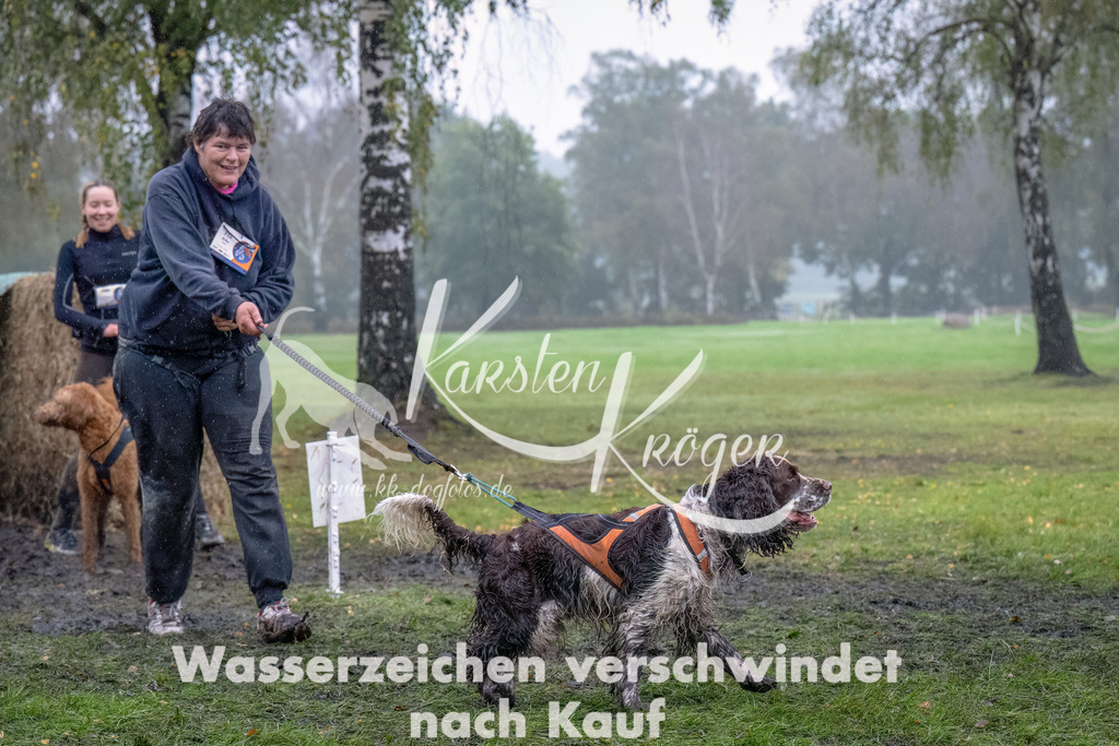 1256--6 | kk-dogfotos