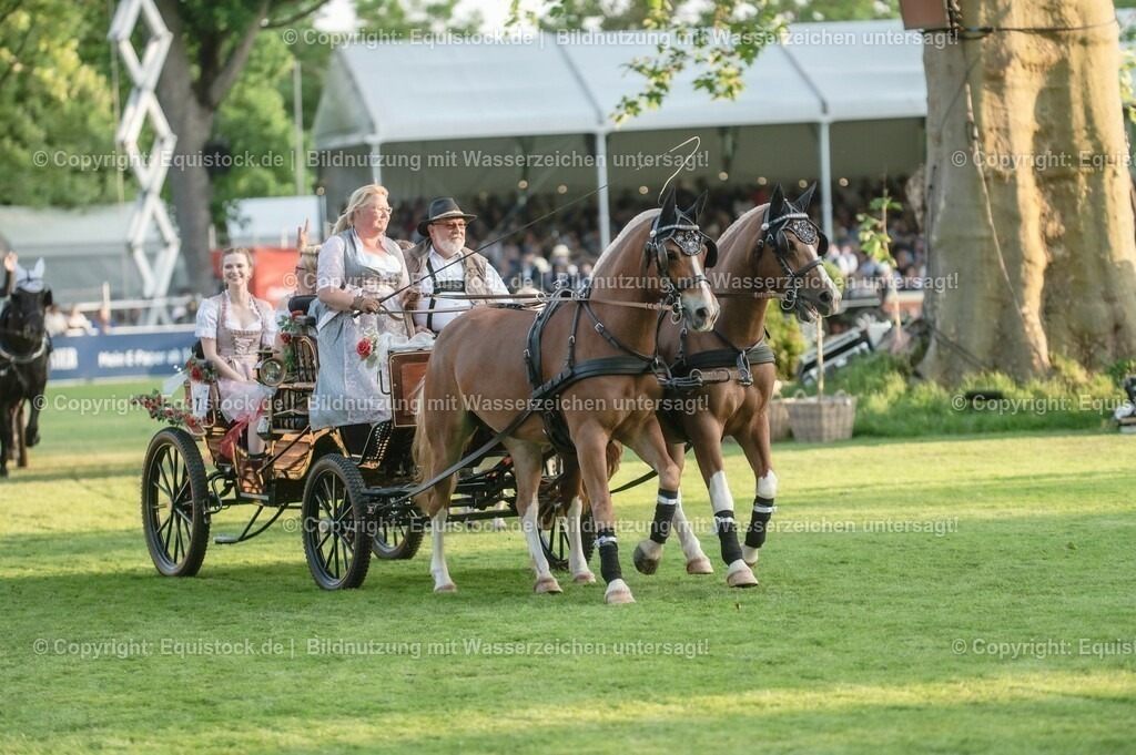 20230526_Pferdenacht_0137 | equistock