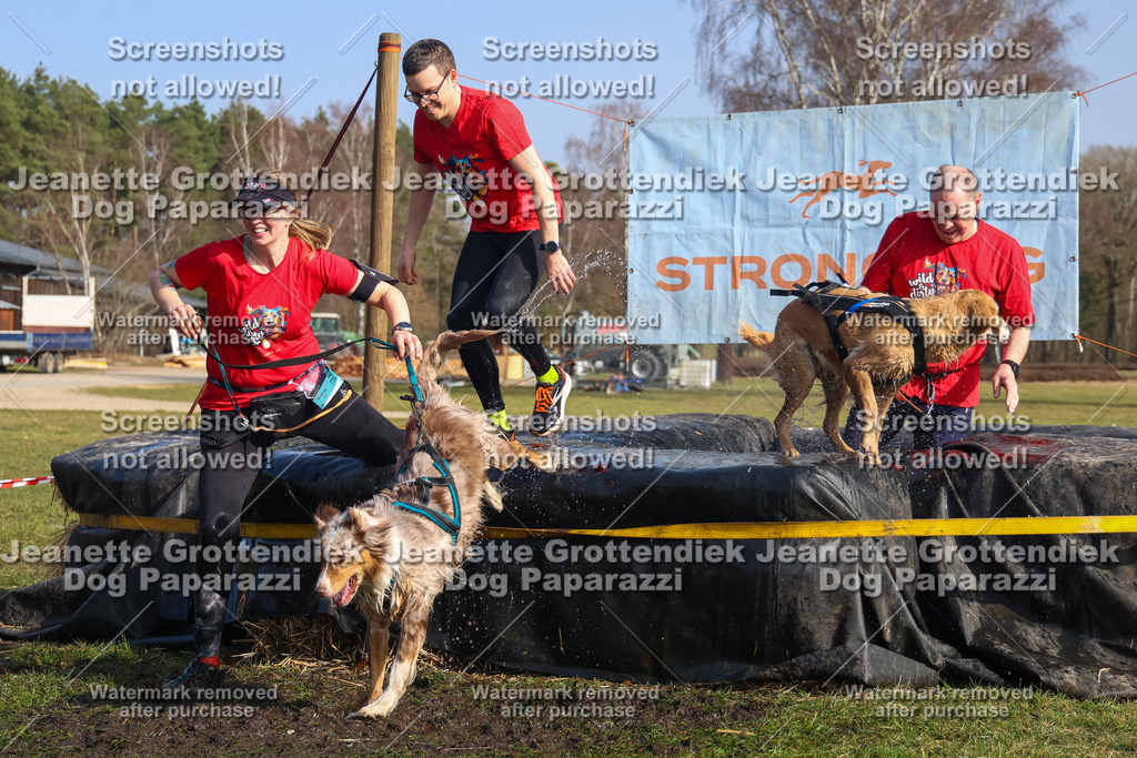 Dog Paparazzi - Strongdog North Mrz26-2605 | Dog Paparazzi Jeanette Grottendiek Fotografie & Videografie - Realisiert mit Pictrs.com