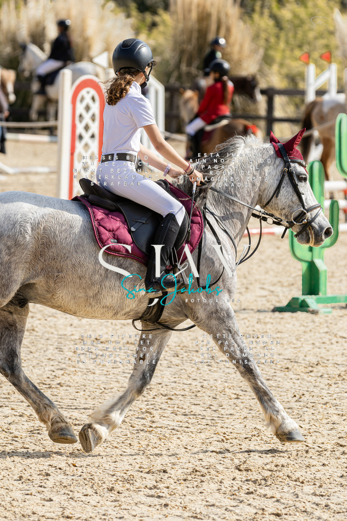 IMG_4340 | s-jay-photography - Realisiert mit Pictrs.com