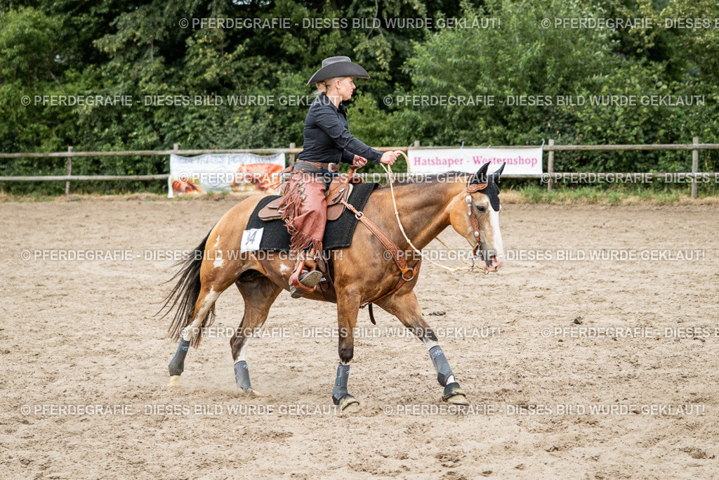 DSC01707 | Pferdegrafie