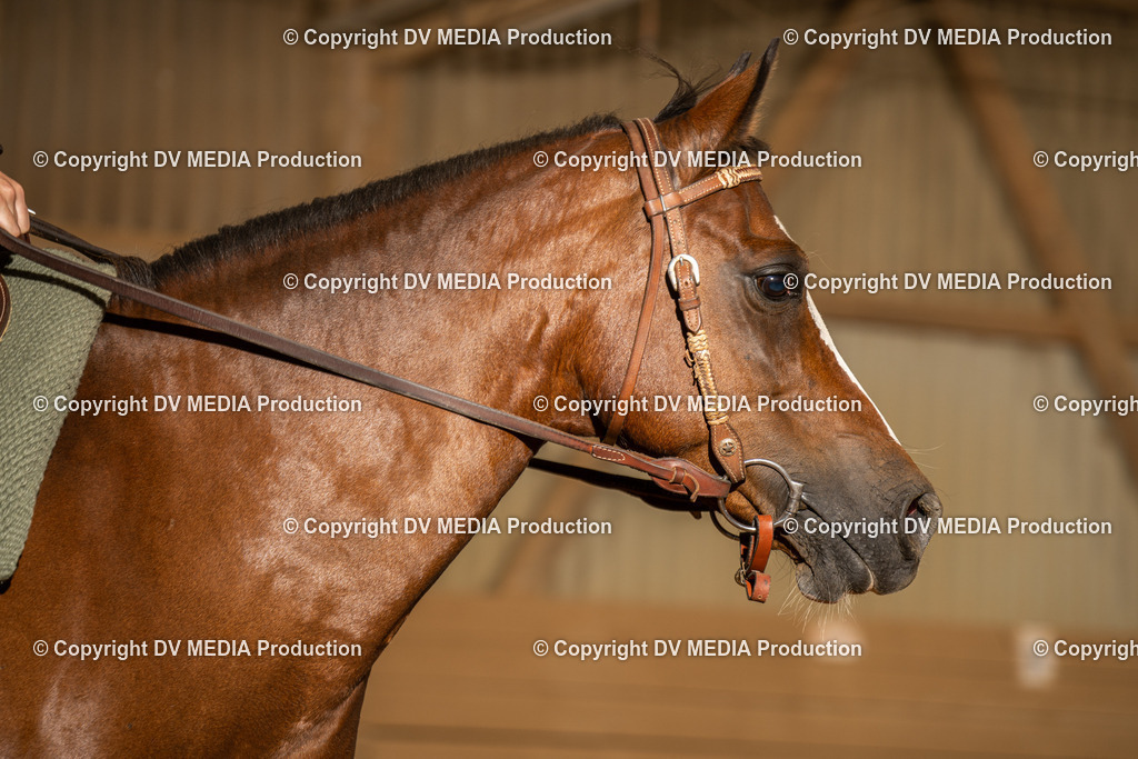 NID03596 | dv-media-shop - Realisiert mit Pictrs.com