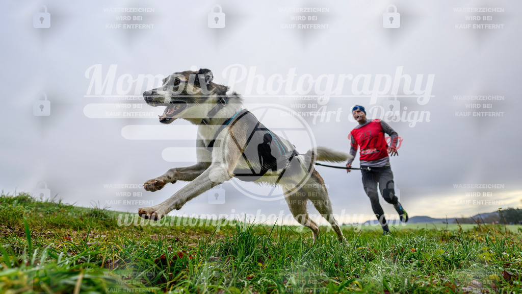 MompixPhotography_Staufertrail2024_SO_Canicross-18 | PayLife