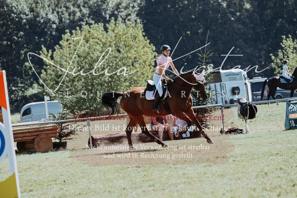 DSC_6549 | Pferde- und Turnierfotografie in Westsachsen. Pferdeportraits, Auftragszeichnungen und intuitive Kunst.