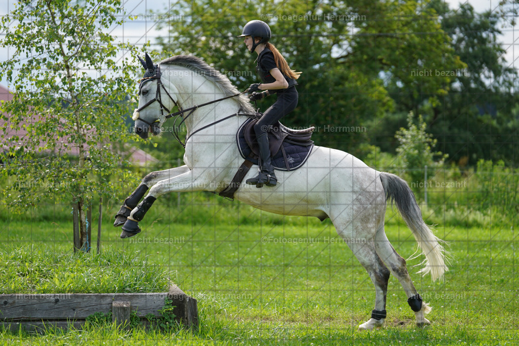 20240622-FAH07985 | Turnierfotografen Bayern, Reitsportbilder aus dem Geländekurs mit Felix Etzel auf dem Gut Waitzacker 2024