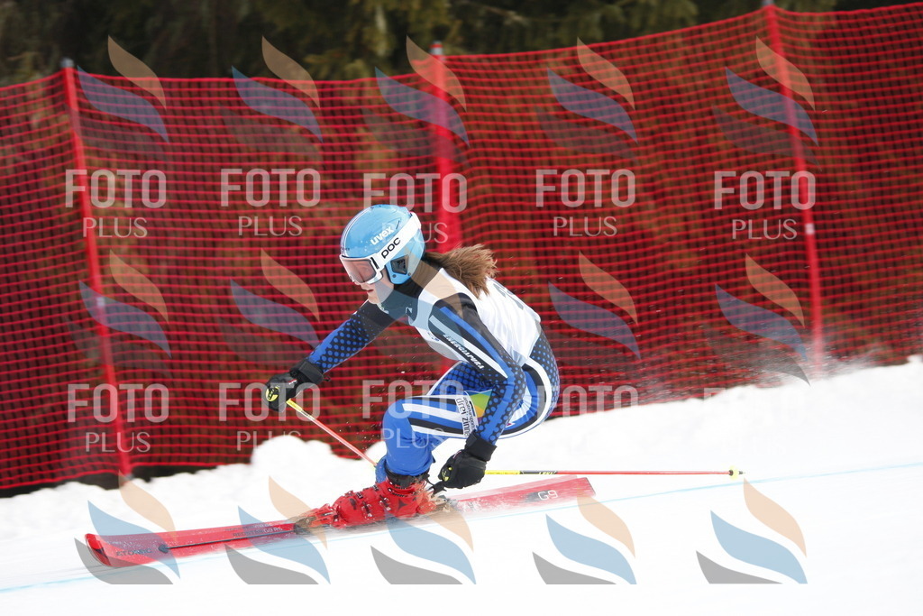 D4952 | holidayphoto