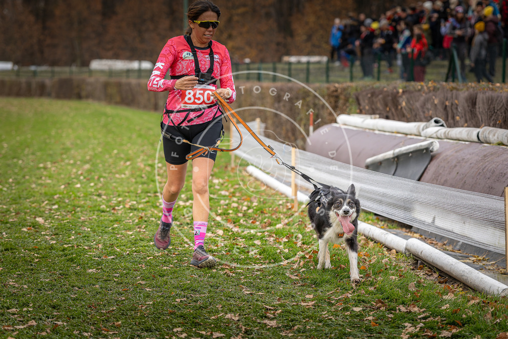 CaniXpix_DV3A6500 | Hundefotografie, Tierfotograf, Pfotenfotografie, Fotoshooting Hund, Hunde Portrait, Hundesport, Hundeportraits, Heideshooting, Hunde, Sportfotograf, Hundefotograf, Turnierhundsport, THS,  - Realisiert mit Pictrs.com