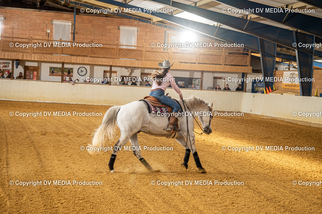 MIT00988 | dv-media-shop - Realisiert mit Pictrs.com