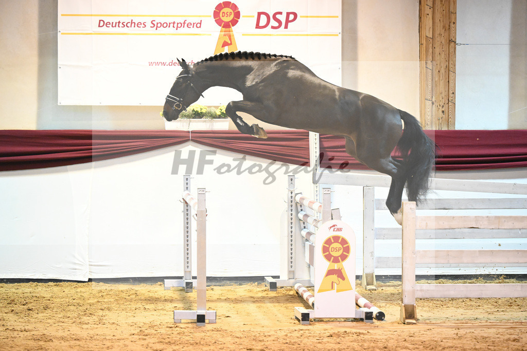 Kat-Nr. 50 v. Tobago Z_Gisler_66221225 | hf-fotografie - Realisiert mit Pictrs.com