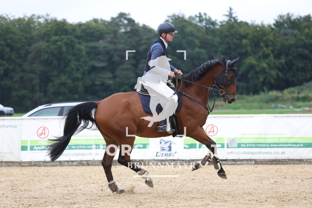 0P6A7151 | Willkommen bei Brunnmayr - Design & Fotografie – Ihrem Spezialisten für Reitturniere und Pferdeveranstaltungen in Oberösterreich, Salzburg und Bayern! Seit über 17 Jahren sind wir leidenschaftlich dabei.