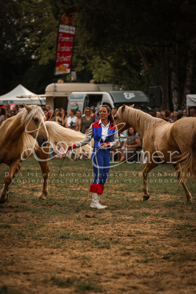 SoProg00054 | Leoni Ertmer Photography - Realisiert mit Pictrs.com