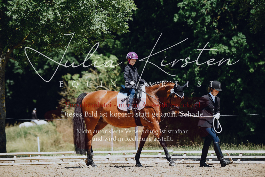 DSC_2098 | Pferde- und Turnierfotografie in Westsachsen. Pferdeportraits, Auftragszeichnungen und intuitive Kunst.