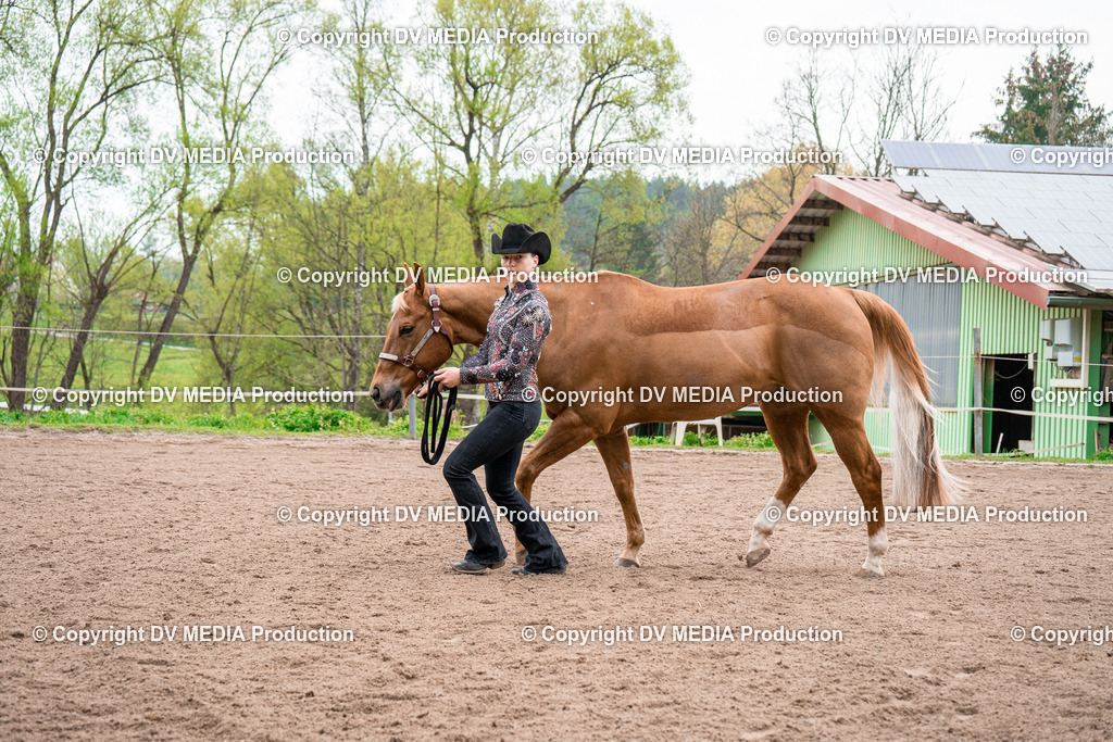 BA300104 | dv-media-shop - Realisiert mit Pictrs.com