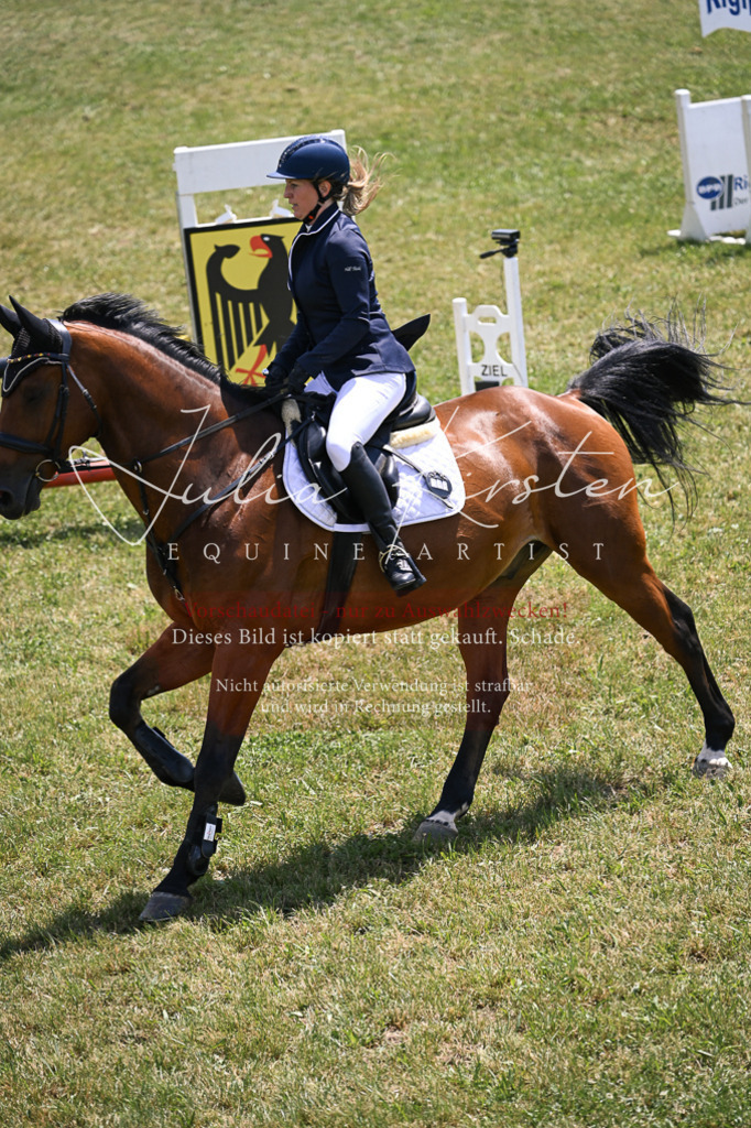 DSC_9638 | Pferde- und Turnierfotografie in Westsachsen. Pferdeportraits, Auftragszeichnungen und intuitive Kunst.