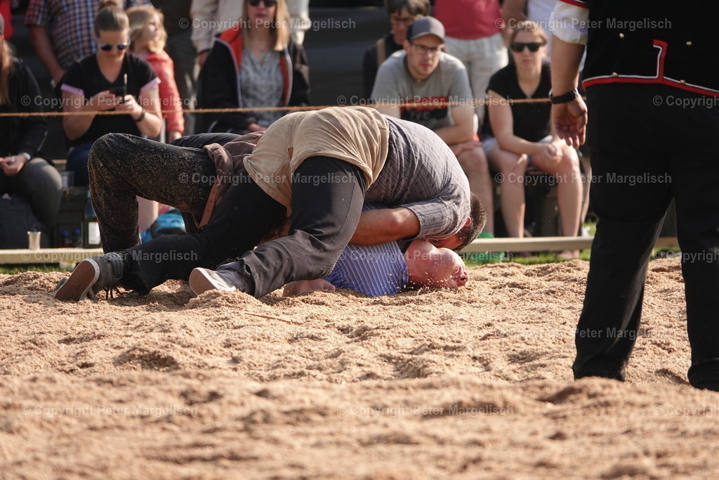 DSC04460 | Schwingen - Realisiert mit Pictrs.com
