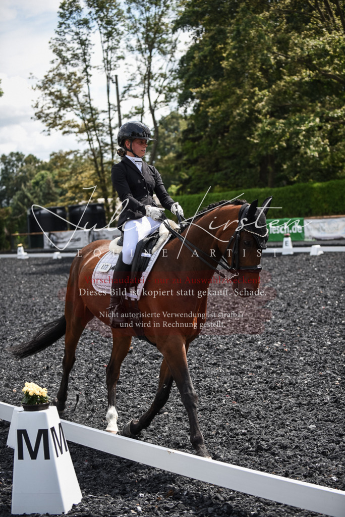DSC_4762 | Pferde- und Turnierfotografie in Westsachsen. Pferdeportraits, Auftragszeichnungen und intuitive Kunst.