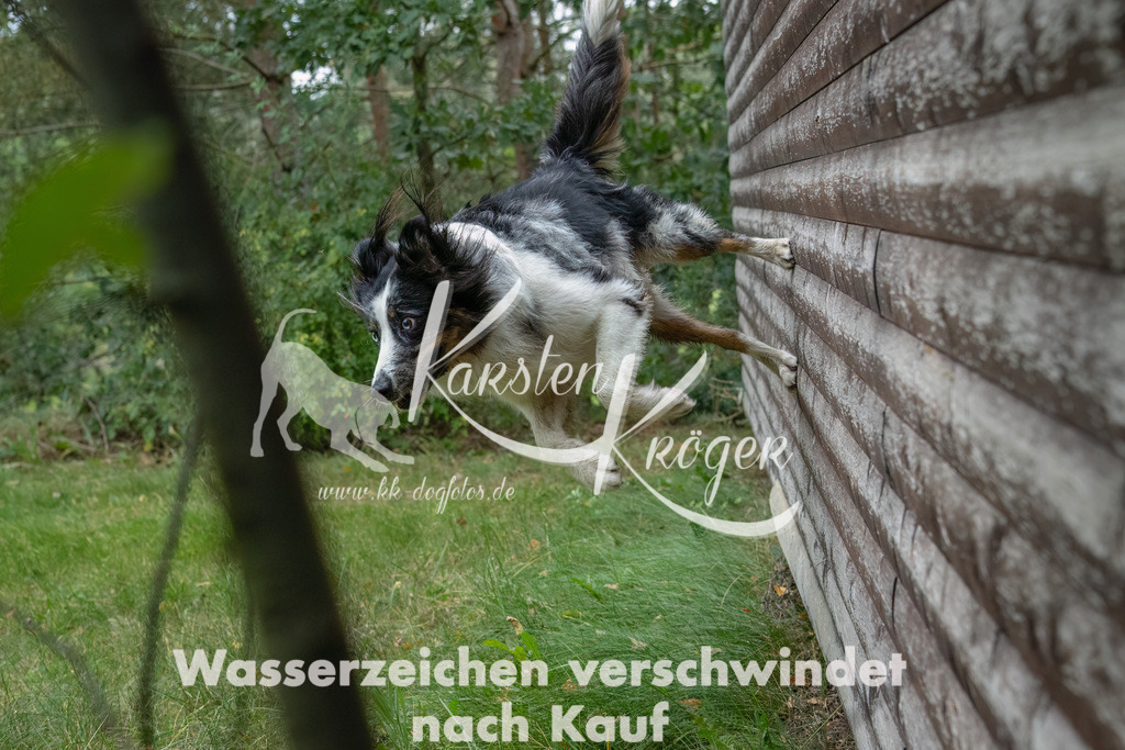 1328_ZZ93488-2-Bearbeitet | kk-dogfotos