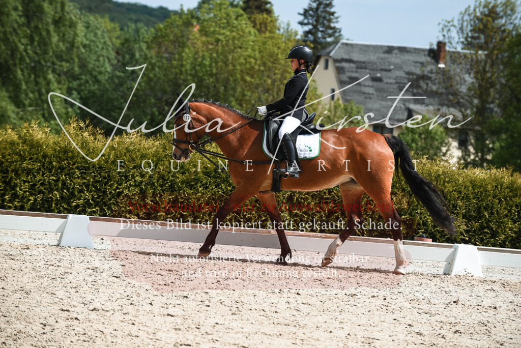 20230518_JK-Röhrsdorf-11-0757 | Pferde- und Turnierfotografie in Westsachsen. Pferdeportraits, Auftragszeichnungen und intuitive Kunst.