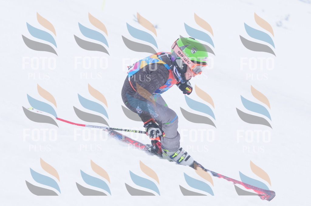 C2363 | holidayphoto