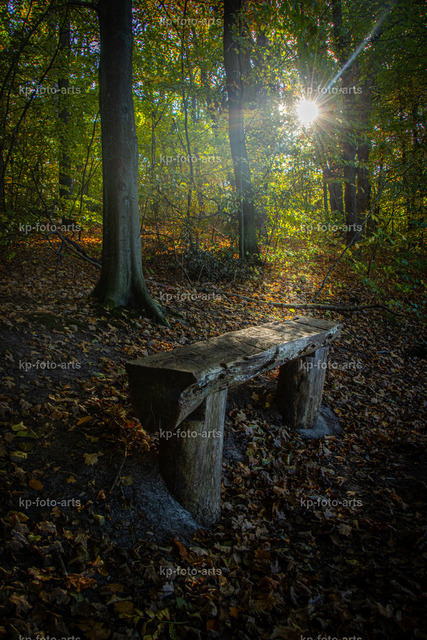 Autum - Mystik | kp-photogasse.de - Realisiert mit Pictrs.com