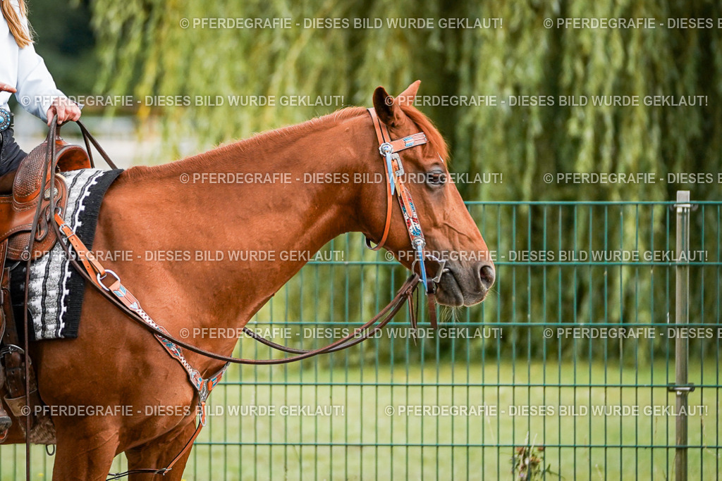 DSC08965 | Pferdegrafie