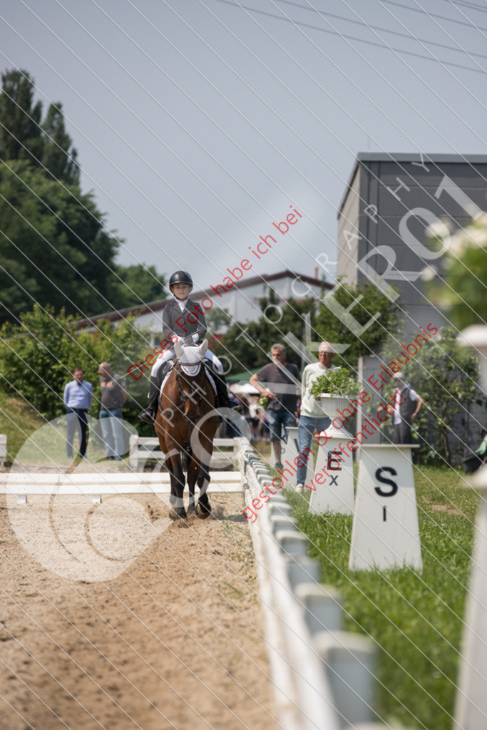 IMG_3674 | Sport-, Event- und Tierfotos in Profiqualität. Einfach auswählen, bestellen und herunterladen. Dein Moment – perfekt festgehalten.