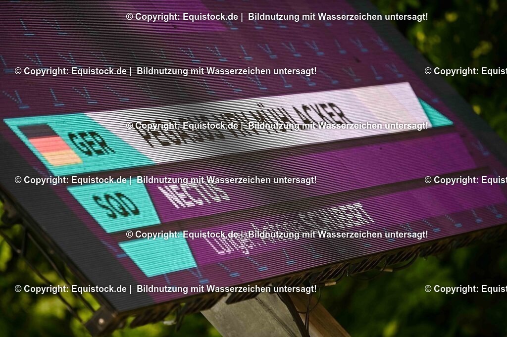 20250608_CVI-Masterclass_0839 | Foto: Thomas Hartig