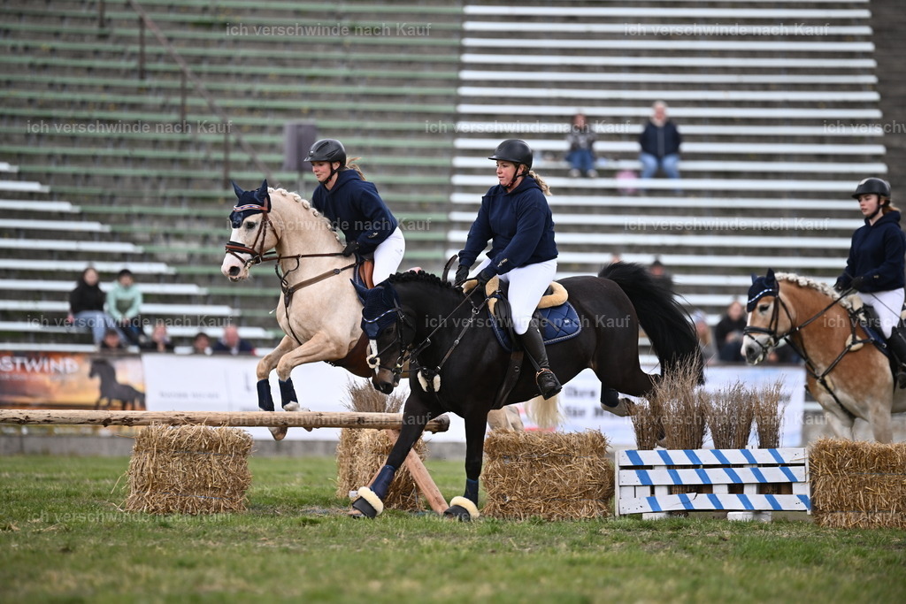 PI26_Show_Sara_Landvogt_226_1820.JPG | working equitationturnier fotograf videograf stoibphotography marixx film working equitation deutschland reitsport turnierfotografie eventfotografie equestrian events