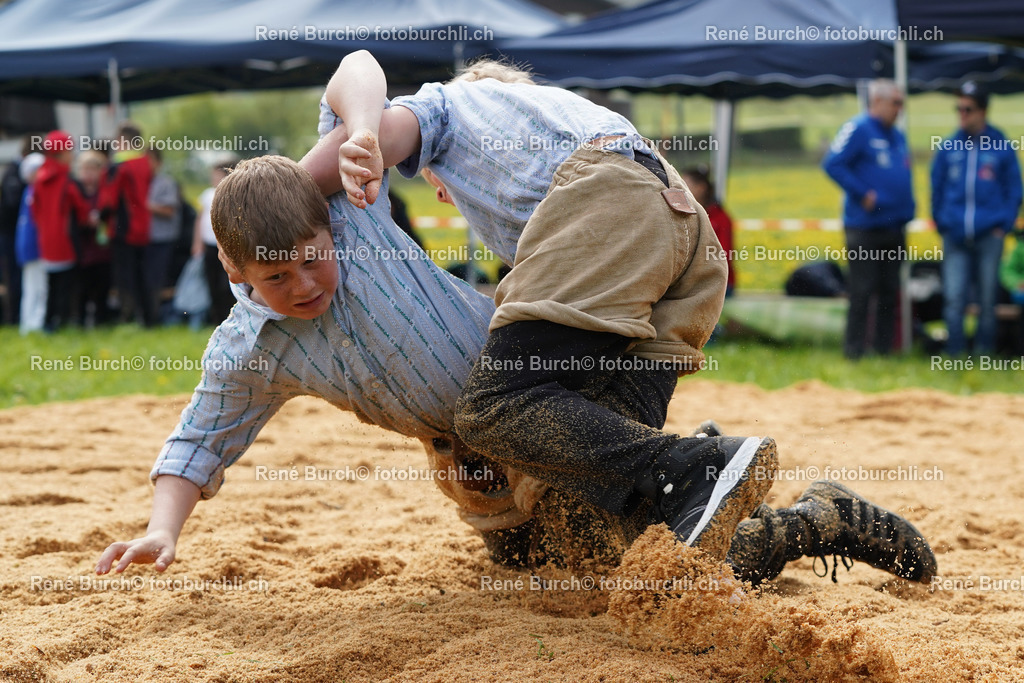 20220423-DSC07922 (2) | René Burch leidenschaftlicher Fotograf aus Kerns in Obwalden.  Hier finden sie Sport, Landschaft und Natur Fotografie.
 - Realisiert mit Pictrs.com