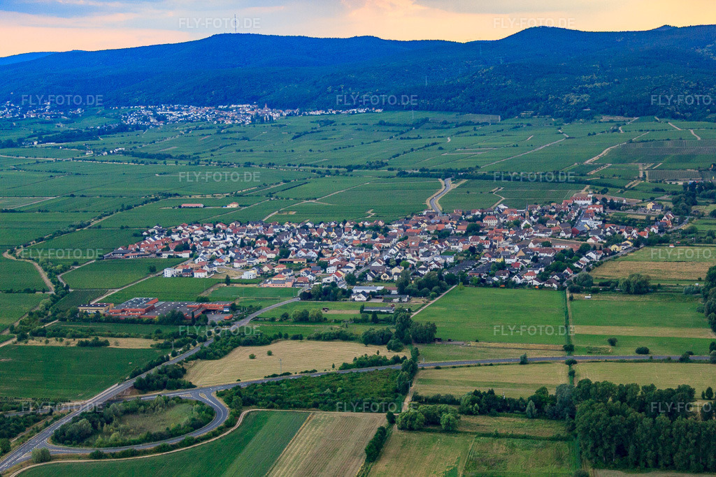 Luftbild: Ortsansicht aus Osten in Ruppertsberg im Bundesland Rheinland-Pfalz in Deutschland.Foto: IMG_69283.jpg vom 24.06.2014 durch Werner Riehm/FLY-FOTO.deAuflösung des Originals: 4752 x 3168 px
