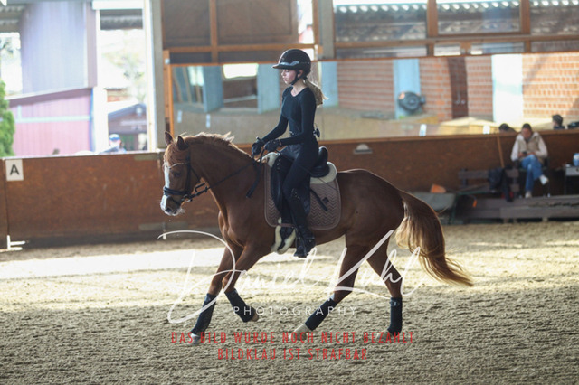 DKP42611 | Turniersportfotografie; Pferdefotografie; Dressurfotografie