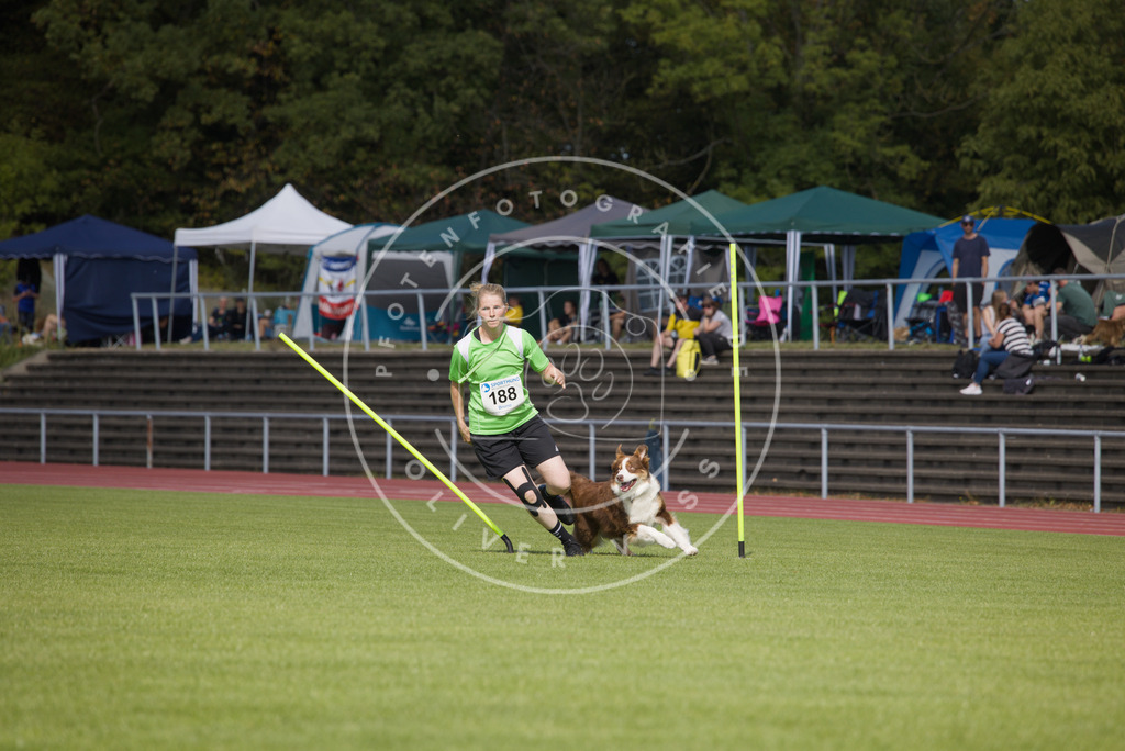 0L8A3399 | Hundefotografie, Tierfotograf, Pfotenfotografie, Fotoshooting Hund, Hunde Portrait, Hundesport, Hundeportraits, Heideshooting, Hunde, Sportfotograf, Hundefotograf, Turnierhundsport, THS,  - Realisiert mit Pictrs.com