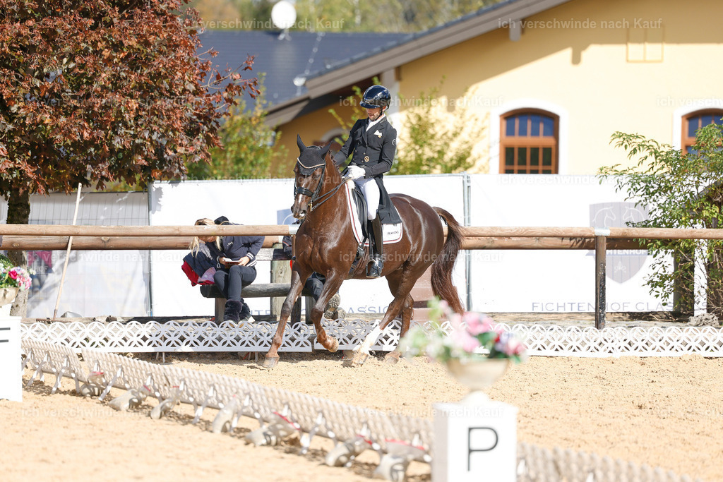 09_2-069-DRESSUR  S_  -StoibPH-5830 | working equitationturnier fotograf videograf stoibphotography marixx film working equitation deutschland reitsport turnierfotografie eventfotografie equestrian events