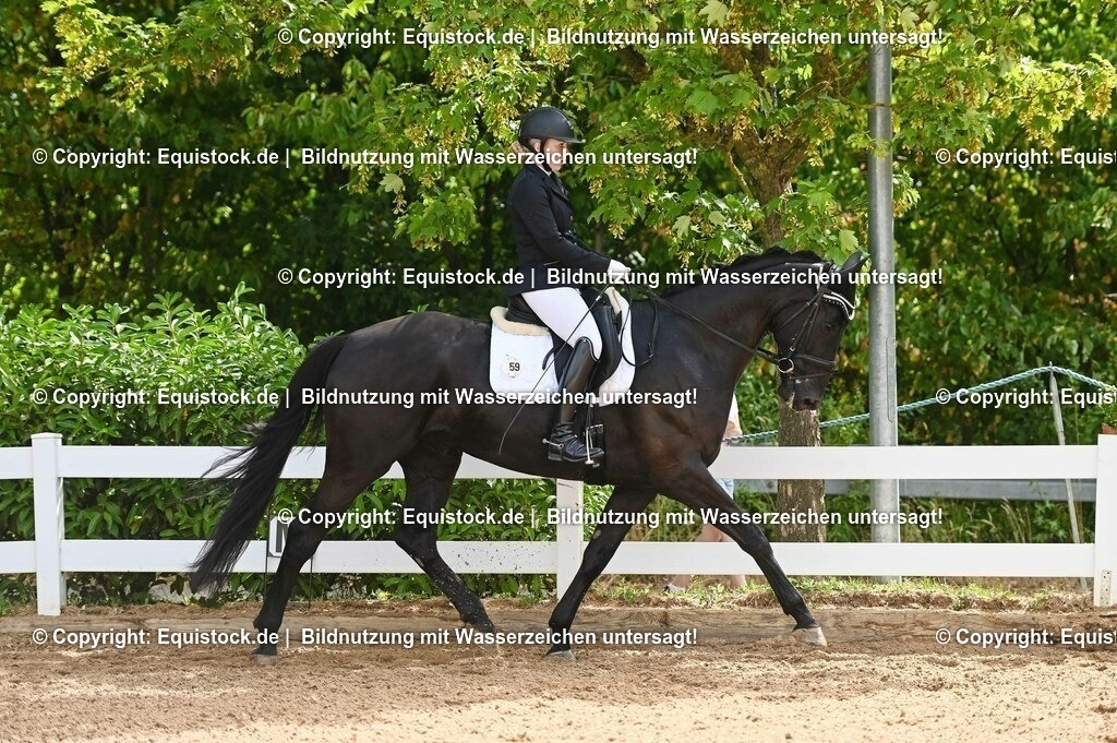 20230715_07_Dressurpferdeprfg. Kl.L_0142 | equistock