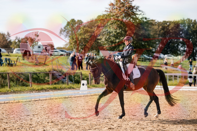 2026_10_03_Siefer-Hof_133621_Z63_96913906 | Professionelle Reitsport-, Turnier- und Eventfotografie von Robert Broda. Galerien mit ausgewählten und bearbeiteten Bildern direkt online ansehen und bestellen.
